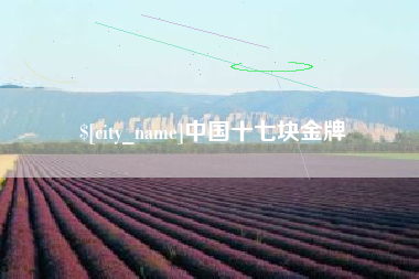 孟州中国十七块金牌