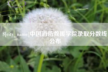 孟州中国消防救援学院录取分数线公布
