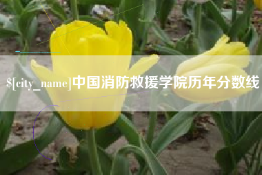 孟州中国消防救援学院历年分数线