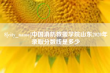 孟州中国消防救援学院山东2020年录取分数线是多少