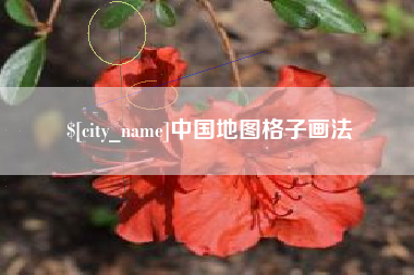 孟州中国地图格子画法