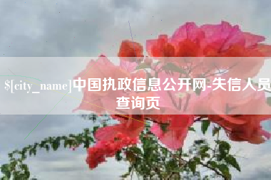 孟州中国执政信息公开网-失信人员查询页