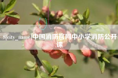 孟州中国消防官网中小学消防公开课