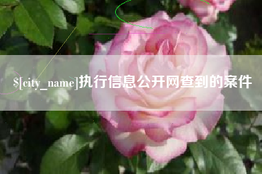 孟州执行信息公开网查到的案件
