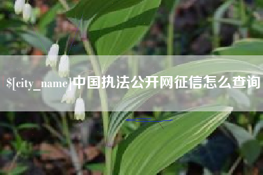 孟州中国执法公开网征信怎么查询