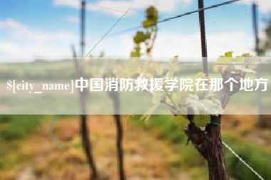 孟州中国消防救援学院在那个地方