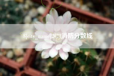 孟州2021消防分数线