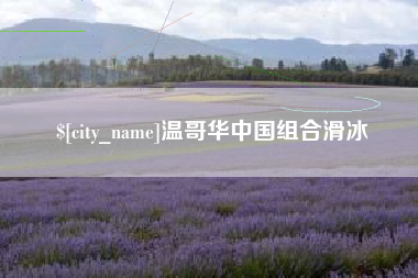 孟州温哥华中国组合滑冰