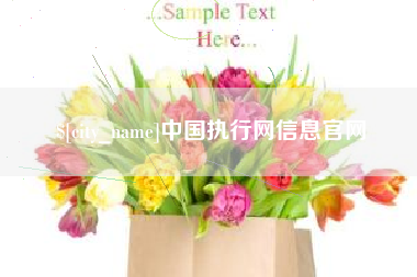 孟州中国执行网信息官网