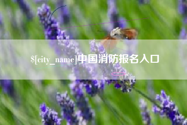 孟州中国消防报名入口