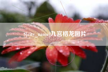孟州九宫格龙图片