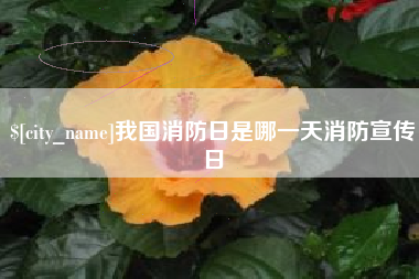 孟州我国消防日是哪一天消防宣传日