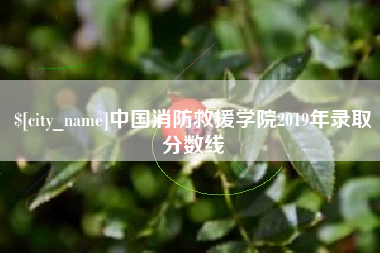 孟州中国消防救援学院2019年录取分数线