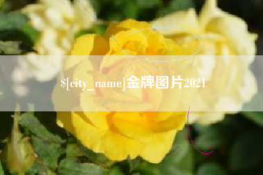 孟州金牌图片2021