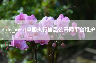 孟州中国执行信息公开网平台维护
