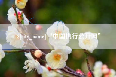 孟州“中国执行公开网”