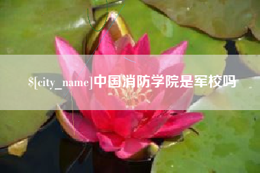 孟州中国消防学院是军校吗
