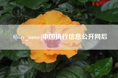 孟州中国执行信息公开网后