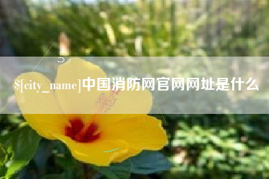 孟州中国消防网官网网址是什么