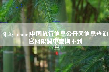 孟州中国执行信息公开网信息查询官网限消中查询不到