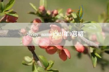 孟州2021年9宫格