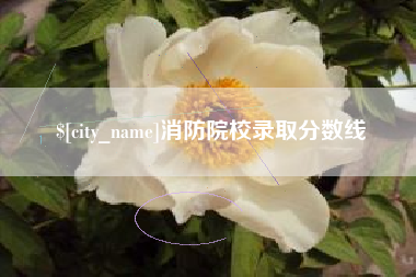 孟州消防院校录取分数线