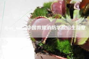 孟州中国救援消防学院招生简章