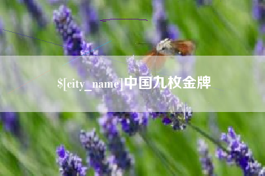 孟州中国九枚金牌