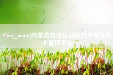 孟州内蒙古自治区消防技术服务执业管理平台