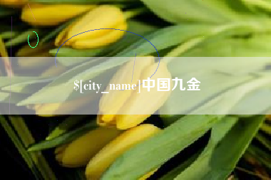 孟州中国九金