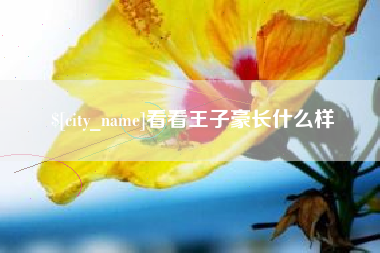 孟州看看王子豪长什么样