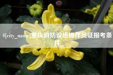 孟州重庆消防设施操作员证报考条件