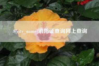 孟州消防证查询网上查询