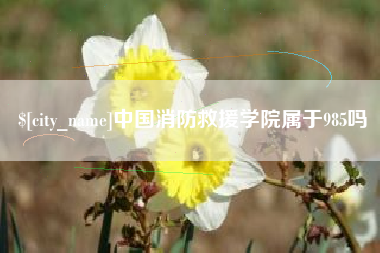 孟州中国消防救援学院属于985吗