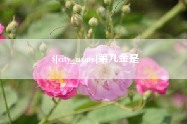 孟州第九金是