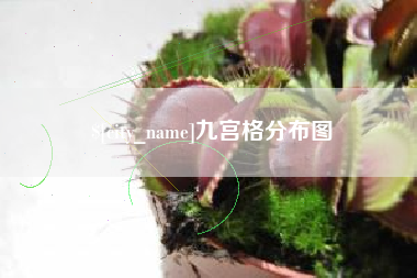 孟州九宫格分布图