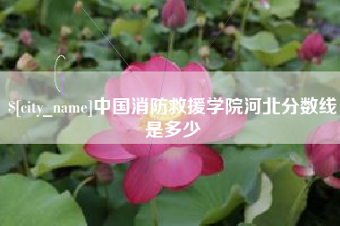 孟州中国消防救援学院河北分数线是多少