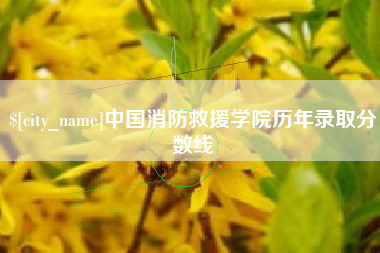 孟州中国消防救援学院历年录取分数线