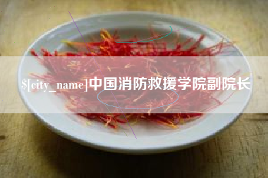 孟州中国消防救援学院副院长