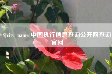 孟州中国执行信息查询公开网查询官网
