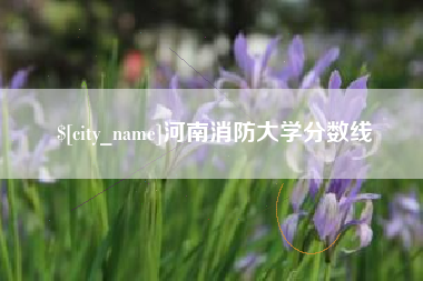 孟州河南消防大学分数线