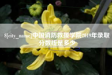 孟州中国消防救援学院2019年录取分数线是多少