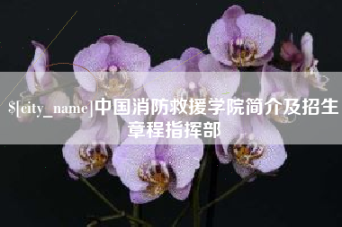 孟州中国消防救援学院简介及招生章程指挥部