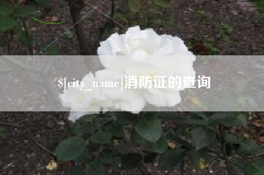 孟州消防证的查询
