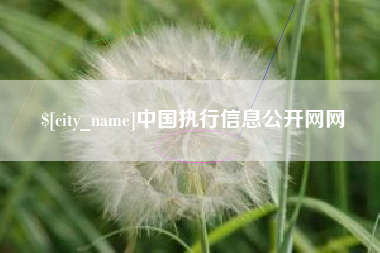 孟州中国执行信息公开网网