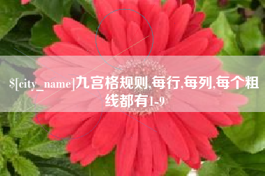 孟州九宫格规则,每行,每列,每个粗线都有1-9