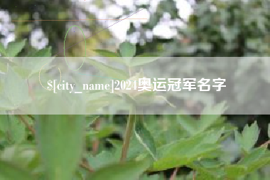 孟州2024奥运冠军名字
