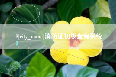 孟州消防证初级查询系统