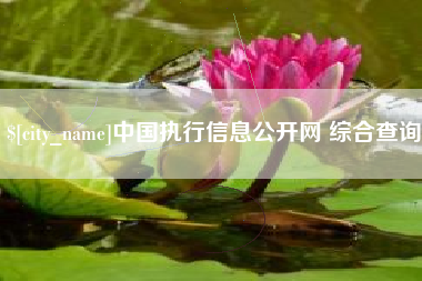 孟州中国执行信息公开网 综合查询