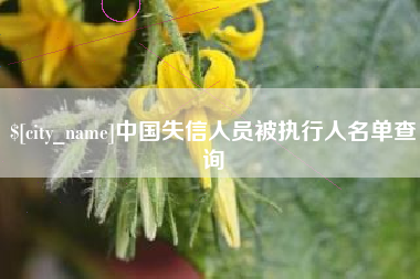 孟州中国失信人员被执行人名单查询